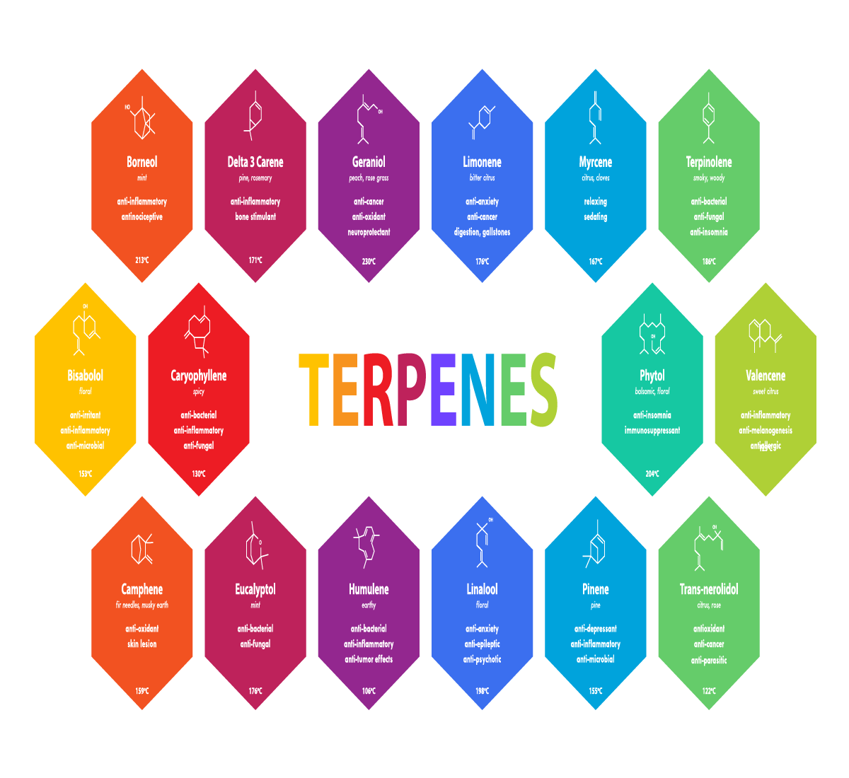 Terpene Profile